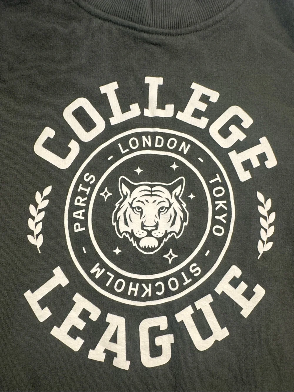 H&M College League Sweatshirt